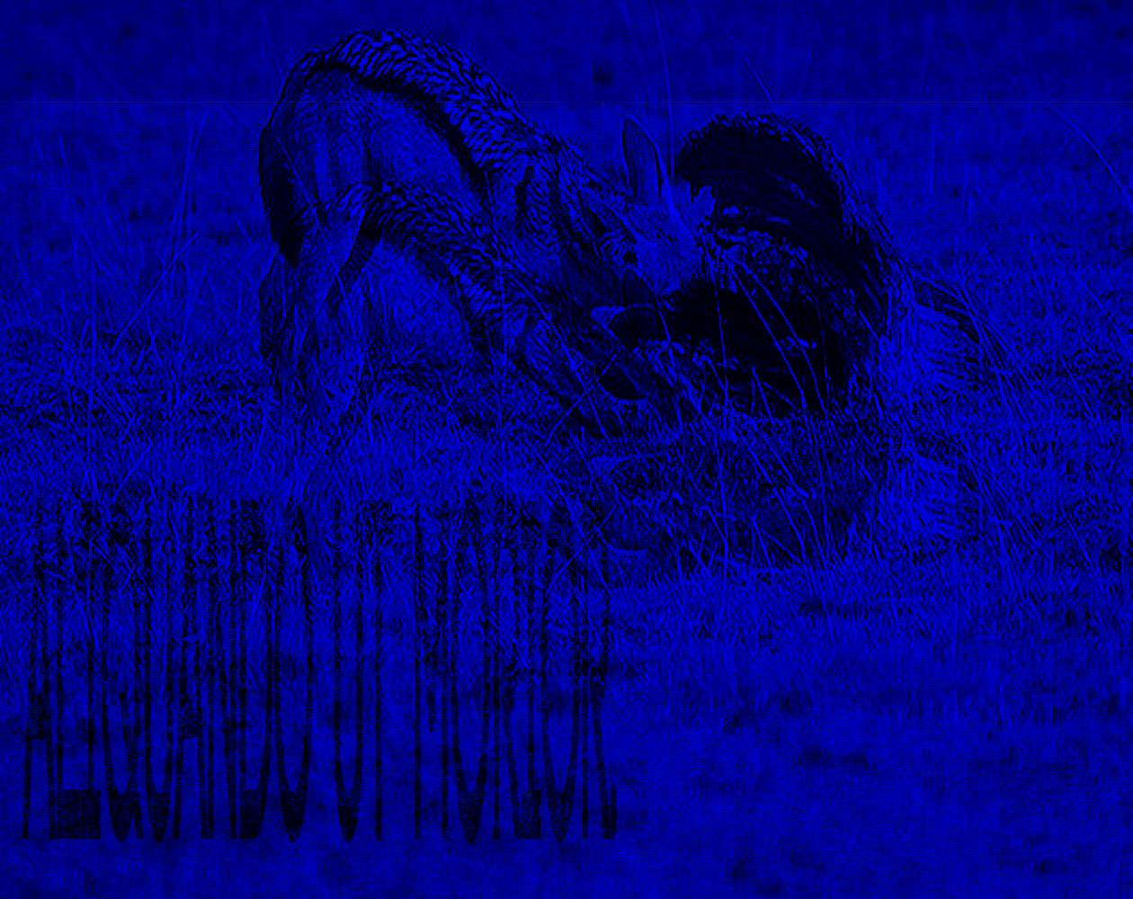 Pasted image 20250423085645.png|500