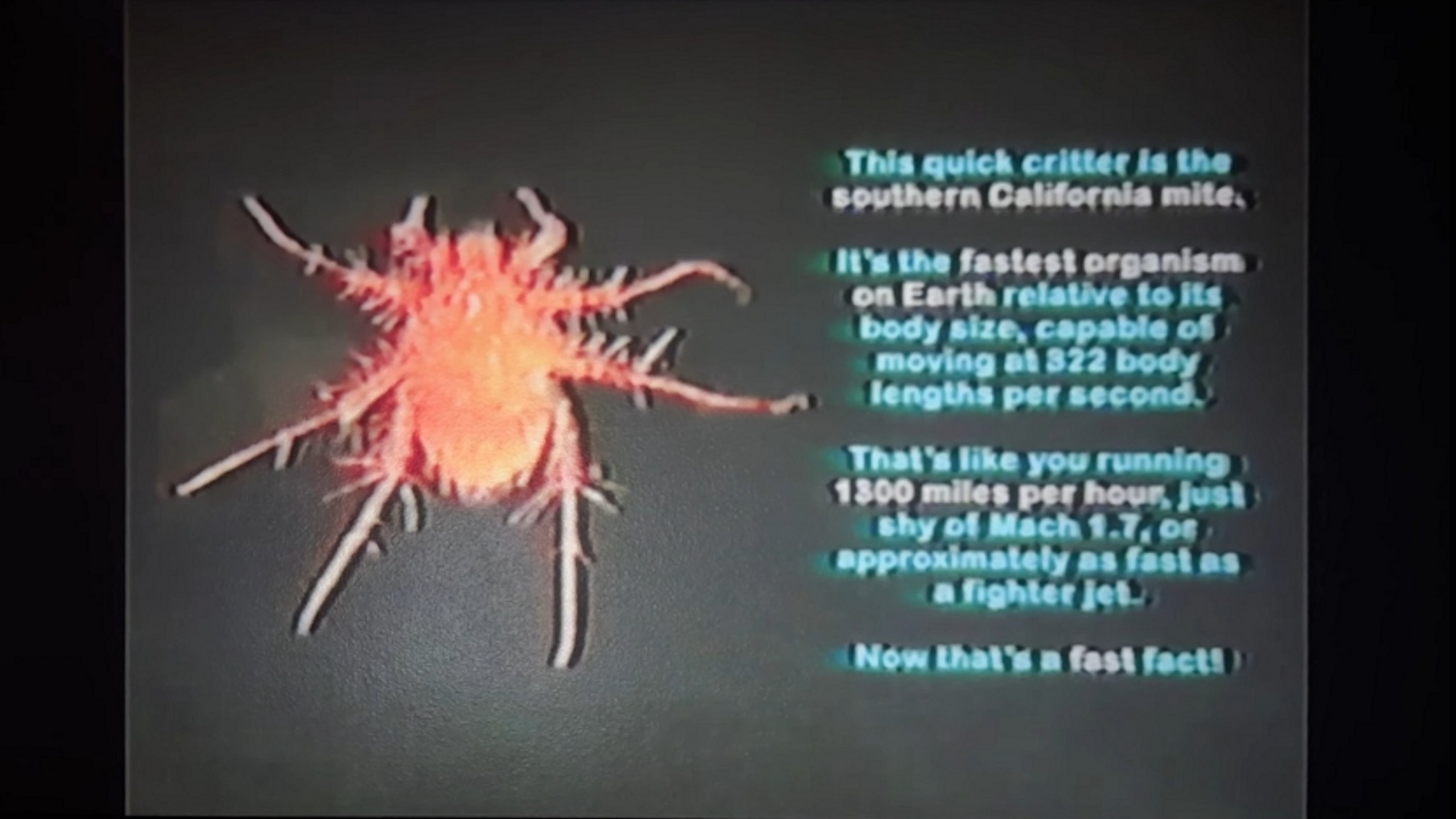 Pasted image 20260321073330.png