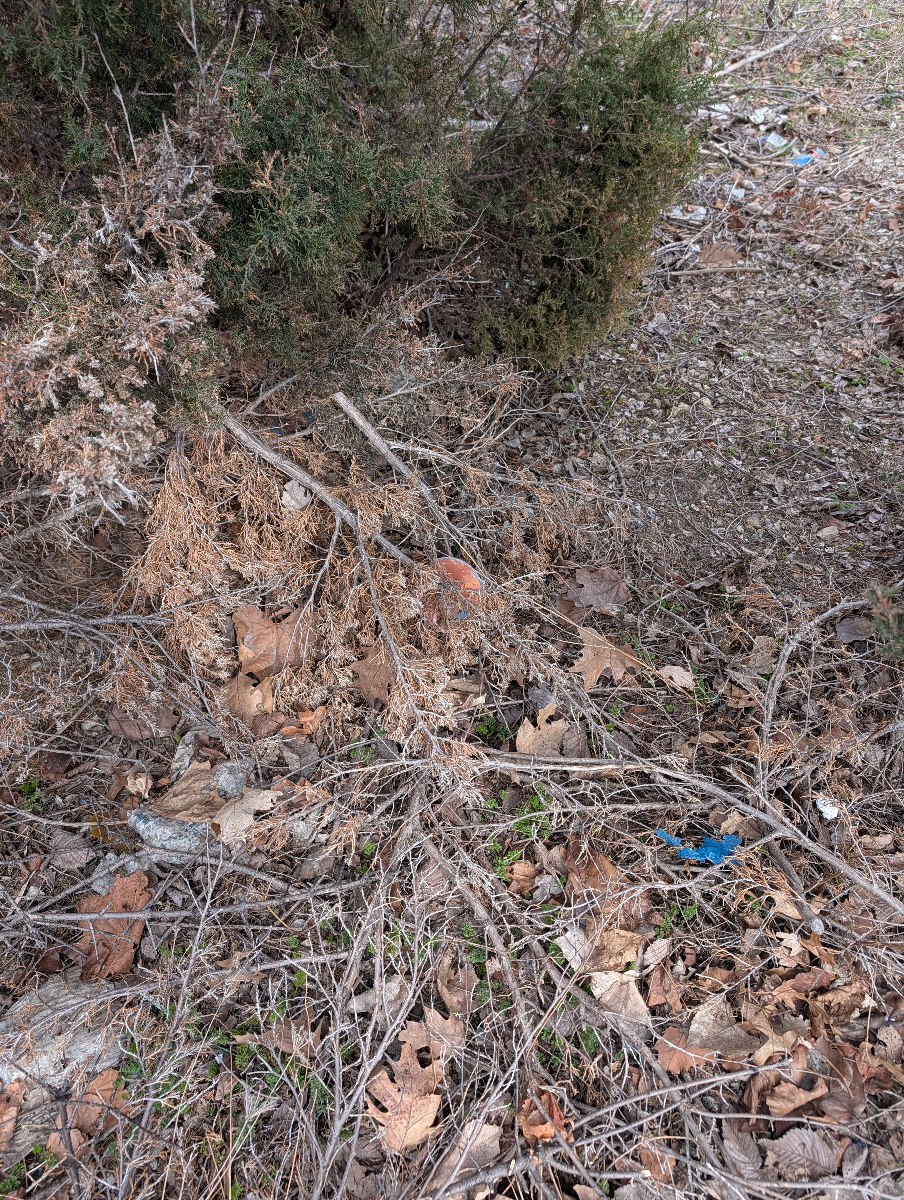 Pasted image 20260322224511.png400